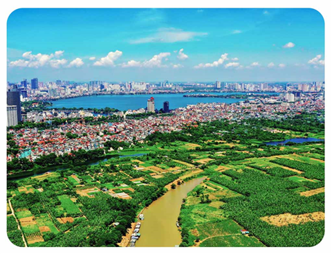 Ảnh Khu vườn 20ha cho thuê tại Long Biên - A Khoa